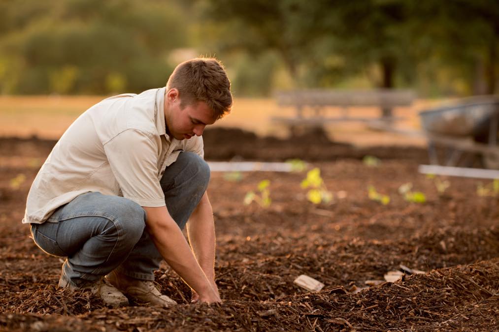 man working in field