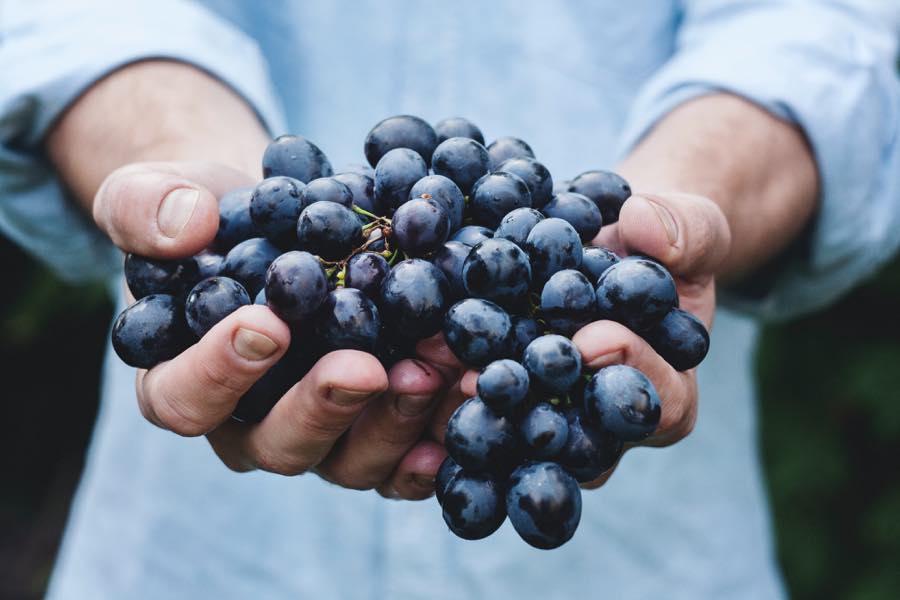 man holding grapes