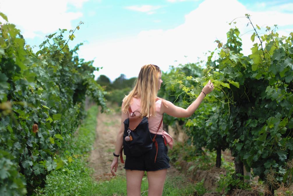 young woman in vineyard